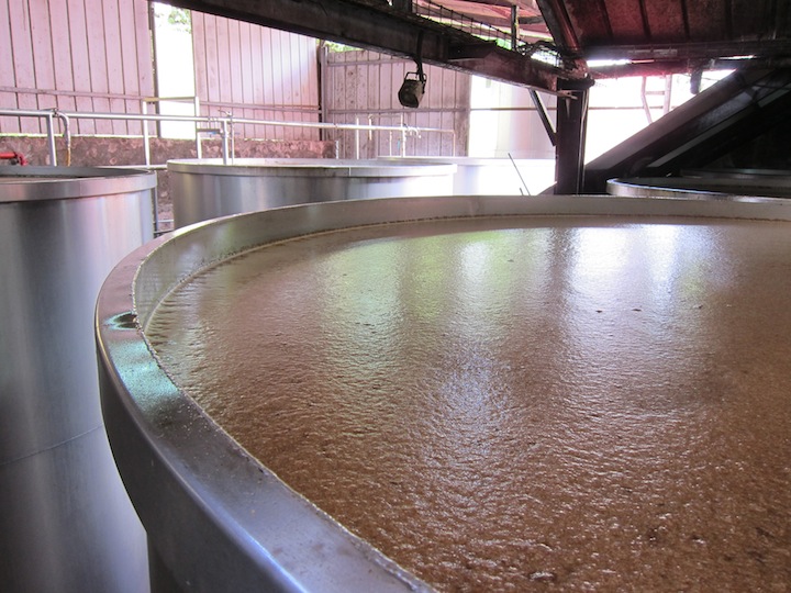 Fermentación del azúcar de caña